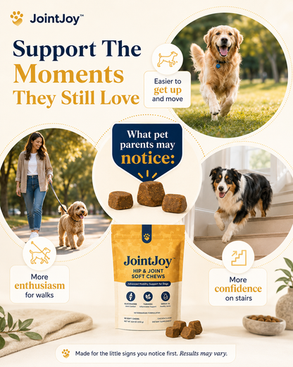 JointJoy™ - Hip & Joint Soft Chews
