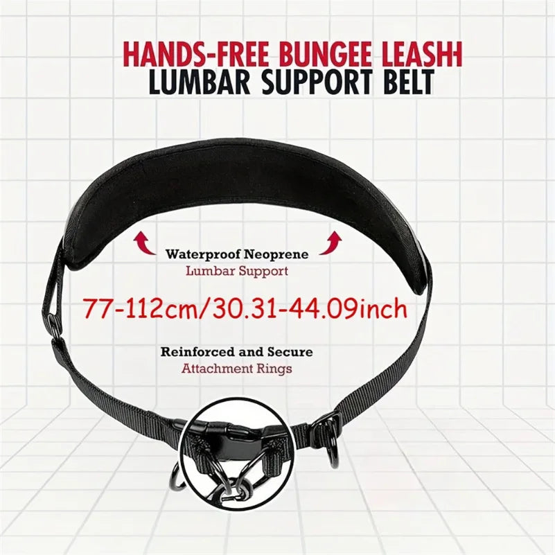 Hands Free Dog Leash