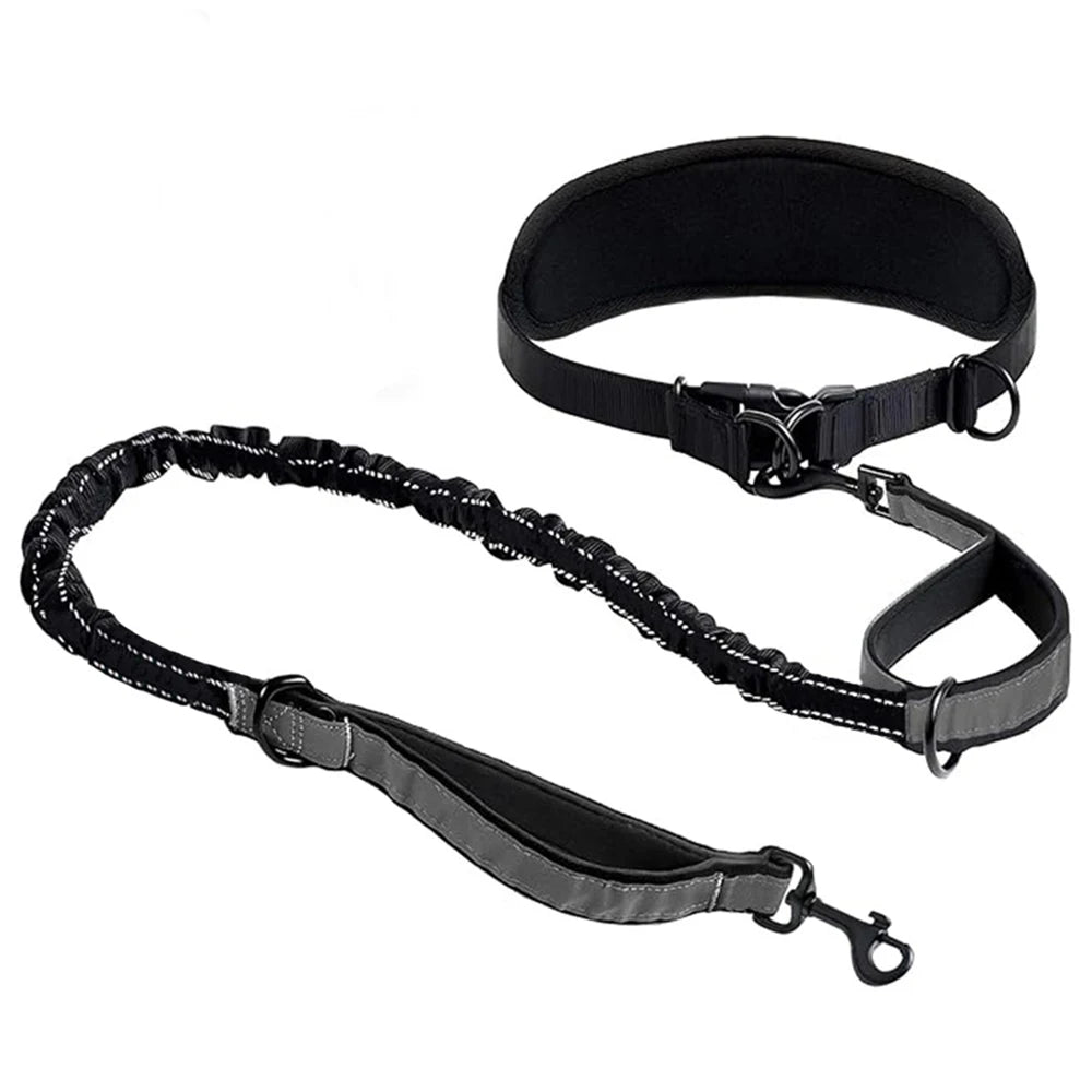 Hands Free Dog Leash