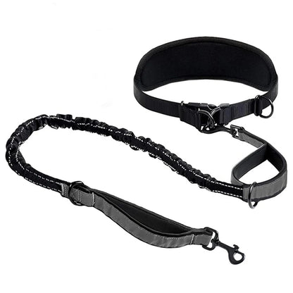 Hands Free Dog Leash