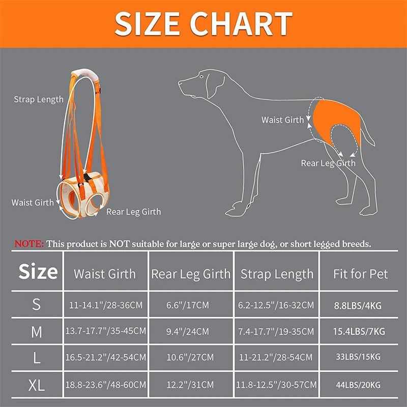 HipLift™ Support Sling