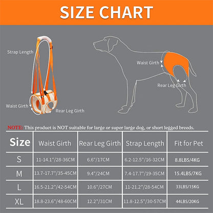 HipLift™ Support Sling