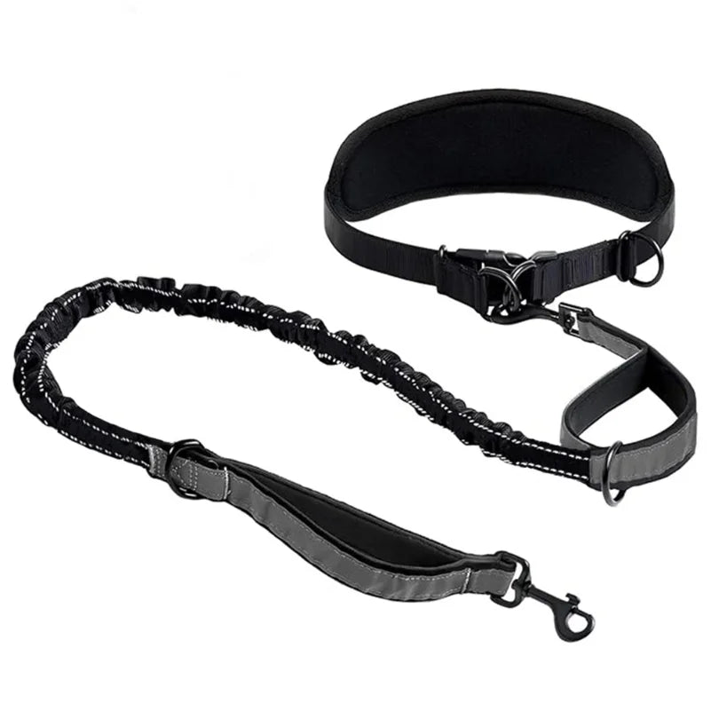 Hands Free Dog Leash