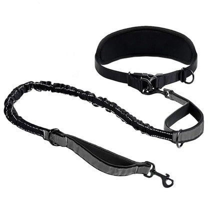Hands Free Dog Leash