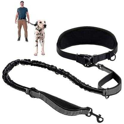Hands Free Dog Leash