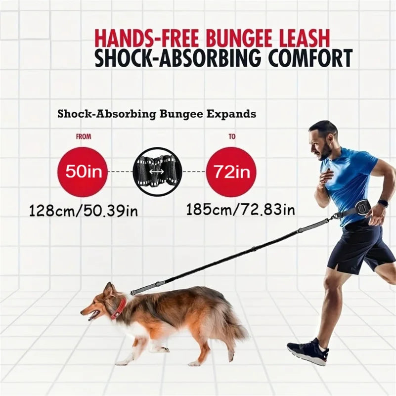 Hands Free Dog Leash