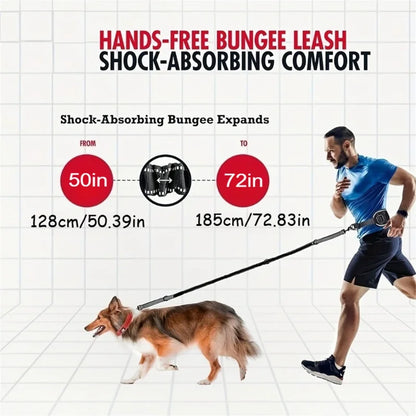 Hands Free Dog Leash