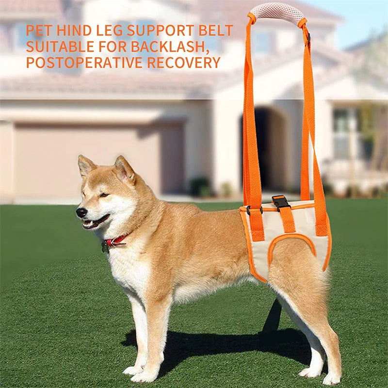 HipLift™ Support Sling