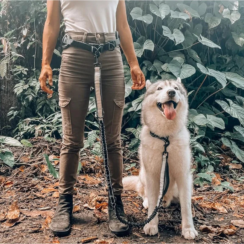 Hands Free Dog Leash
