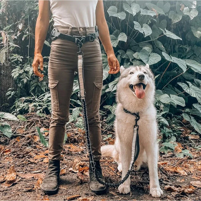 Hands Free Dog Leash