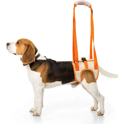 HipLift™ Support Sling