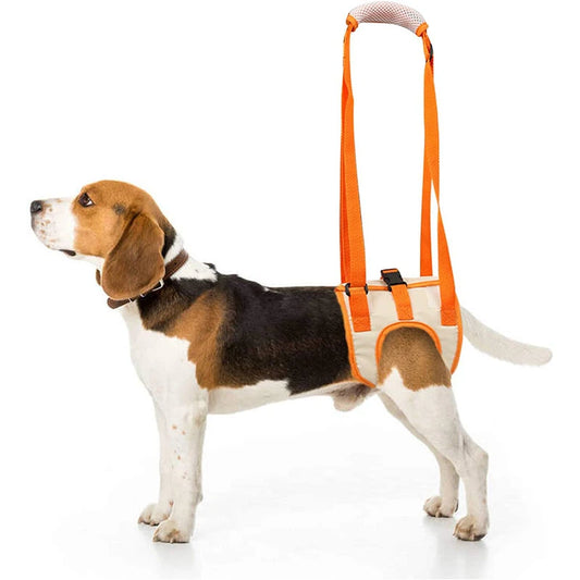 HipLift™ Support Sling